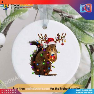 Santa Squirrel Family Family Trees Bring Your Ideas Thoughts And Imaginations Into Reality Today Christmas Ornaments