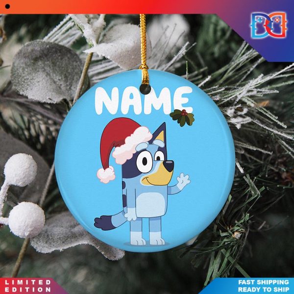 Personalized Custom Name Bluey Santa Family  Christmas Ornaments